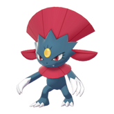 Buy Weavile in Brilliant Diamond & Shining Pearl
